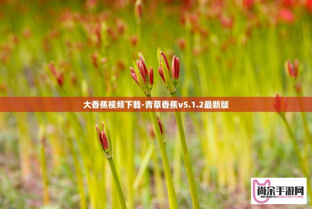 大香蕉视频下载-青草香蕉v5.1.2最新版